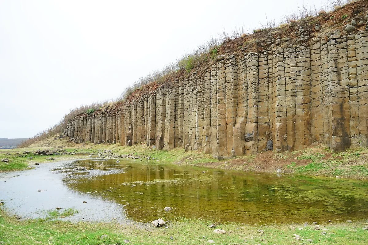 %EB%8B%A4%EA%B6%88%EC%98%88_%EC%A3%BC%EC%83%81%EC%A0%88%EB%A6%AC_1.JPG?type=w1200