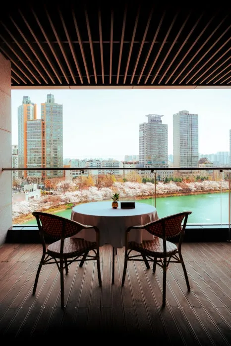 %EB%A0%88%EC%8A%A4%ED%8C%8C%EC%8A%A4_(2).jpg?type=w466