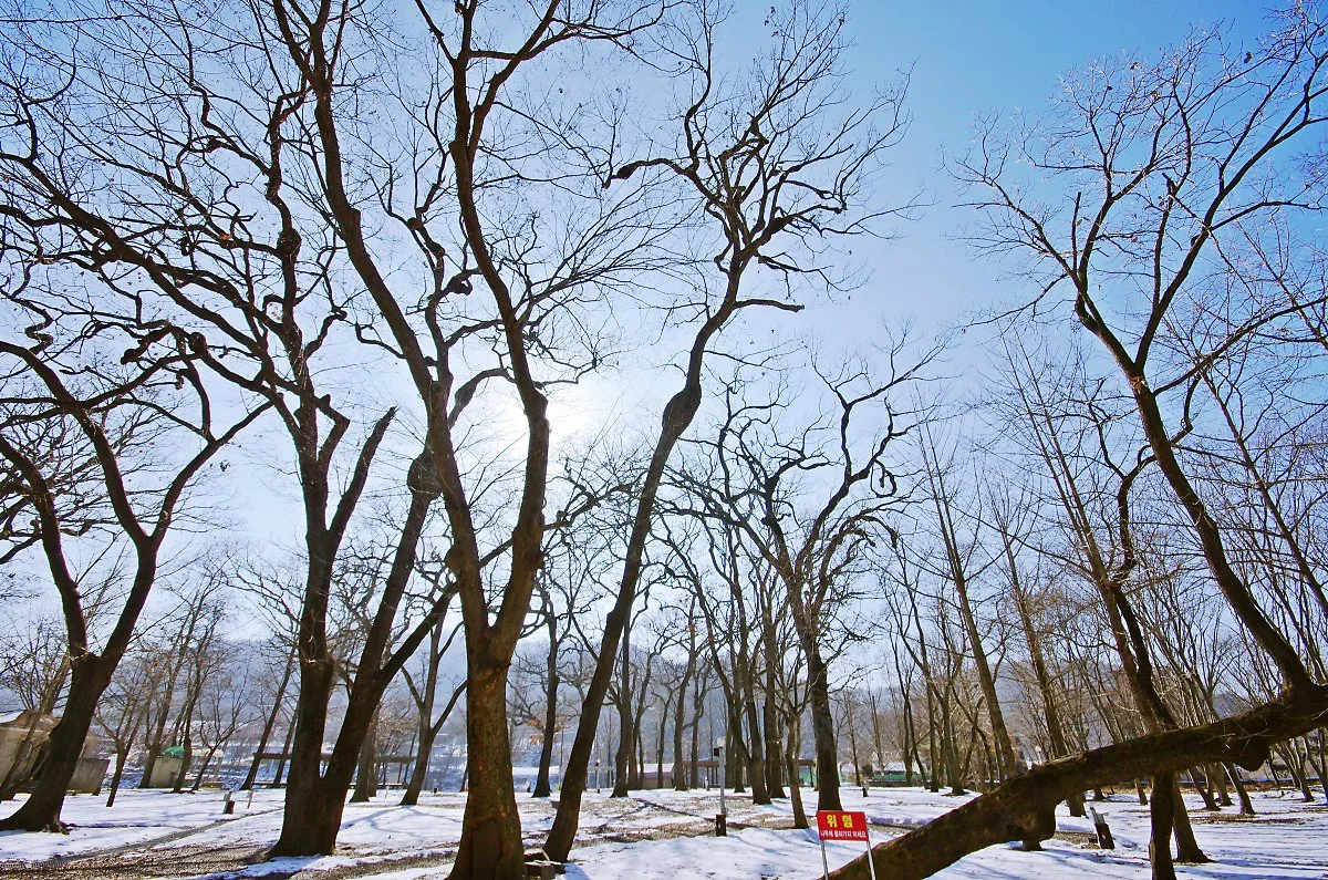 %EC%98%A5%ED%99%949%EA%B2%BD_%EC%A0%9C6%EA%B2%BD_%EA%B8%88%EA%B4%80%EC%88%B2.JPG?type=w1200