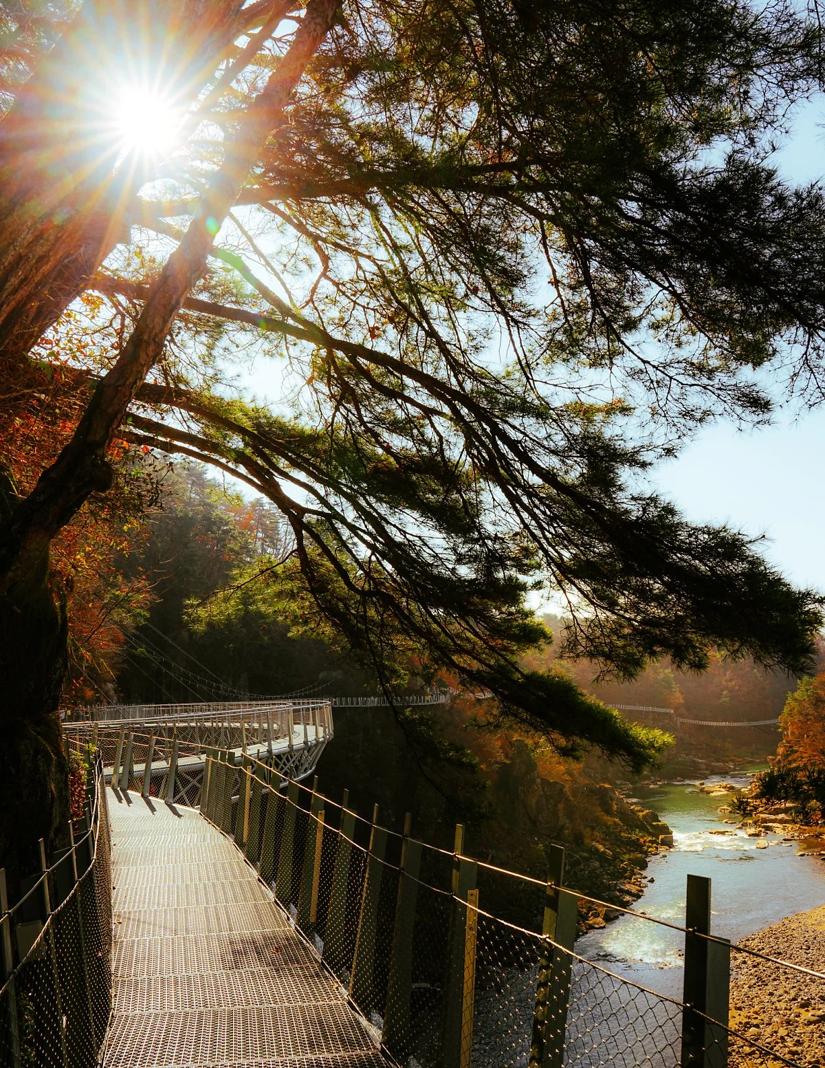 %EB%8B%A4%EB%A6%AC_-1-4.jpg?type=w1200