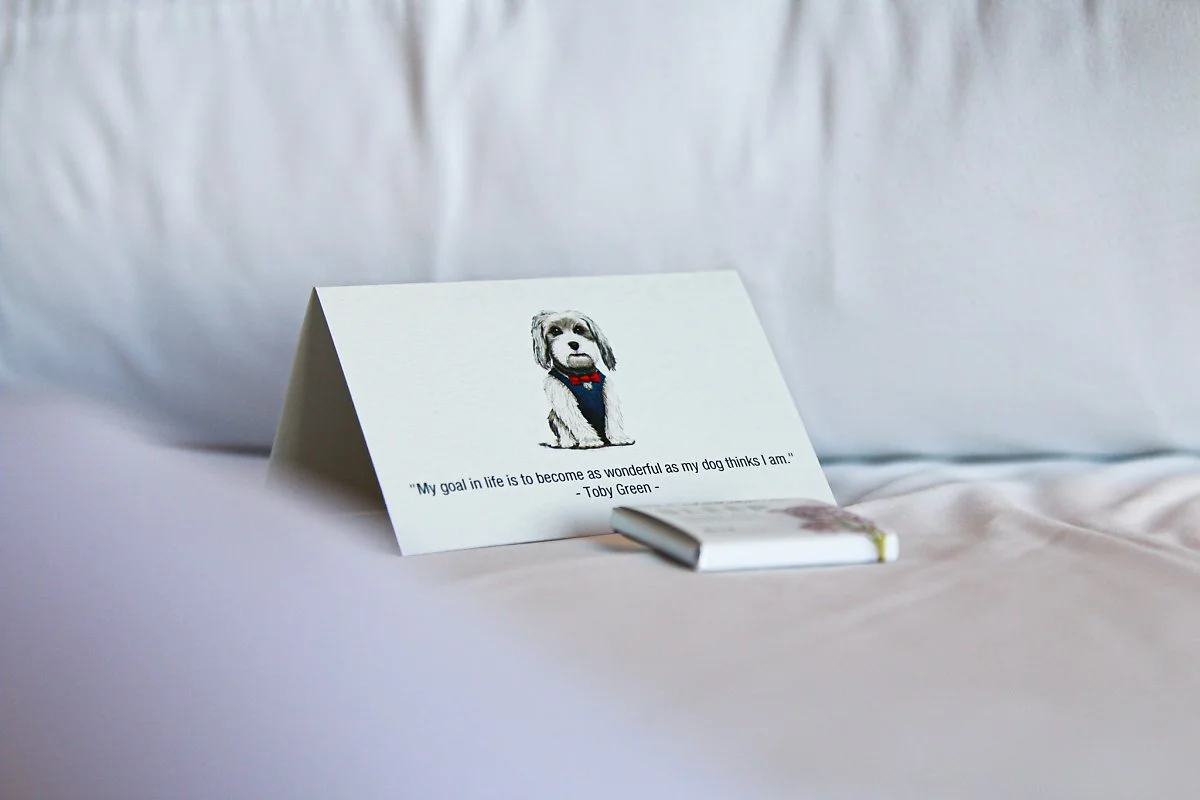 %ED%98%B8%ED%85%94_%EB%8B%9B%EC%BD%94_%EC%83%8C%ED%94%84%EB%9E%80%EC%8B%9C%EC%8A%A4%EC%BD%94_%282%29.jpg?type=w1200