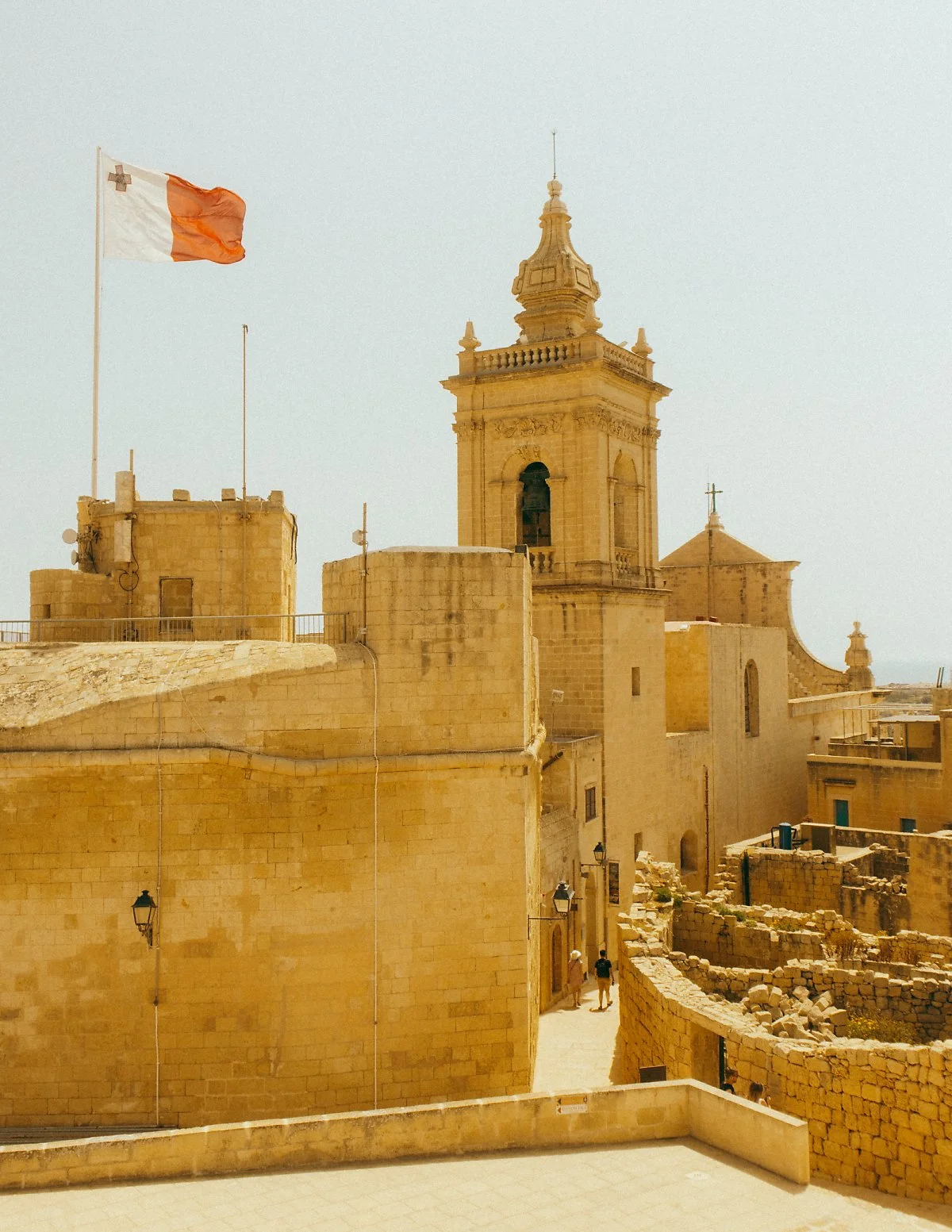 %EA%B3%A0%EC%A1%B0_%EC%8B%9C%ED%83%80%EB%8D%B8_%285%29.JPG?type=w1200