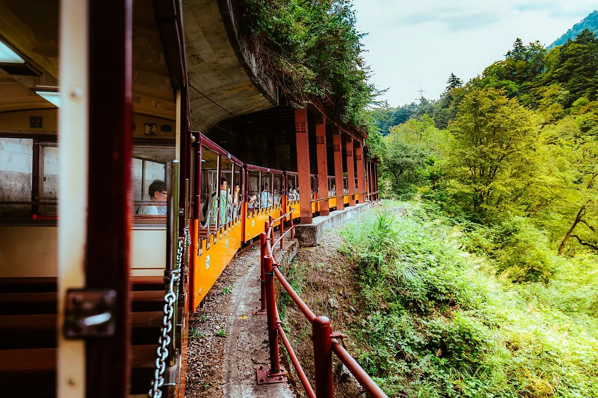 %EB%8F%84%EB%A1%AF%EC%BD%94_%EC%97%B4%EC%B0%A8-5.jpg?type=w1200