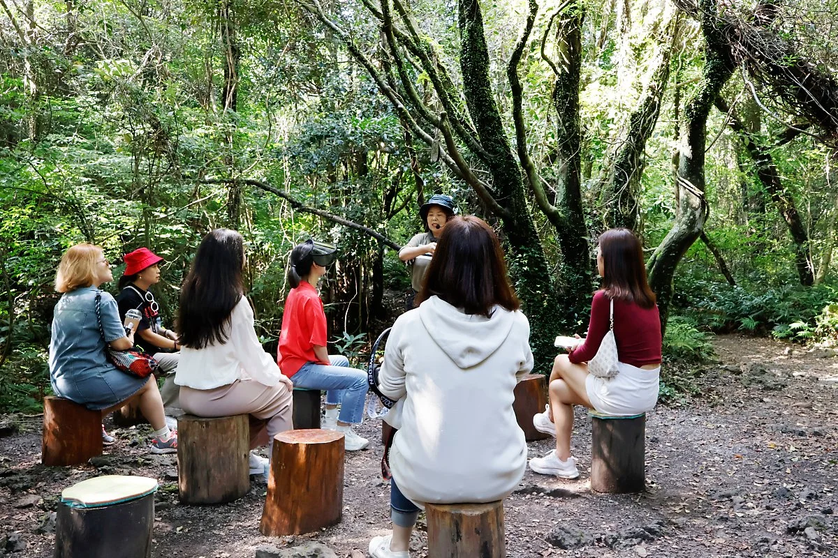 %ED%99%98%EC%83%81%EC%88%B2_%2813%29.JPG?type=w1200