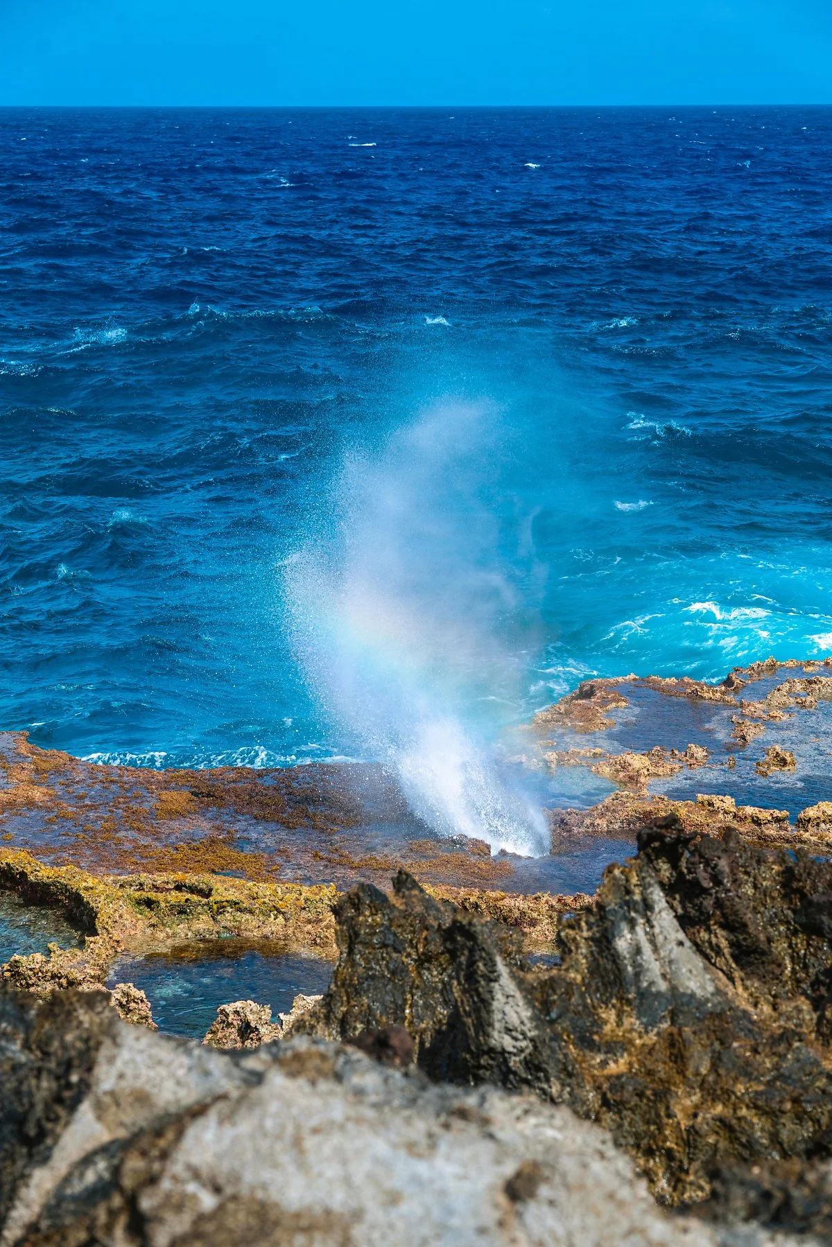 %EB%B8%94%EB%A1%9C%EC%9A%B0_%ED%99%80_%281%29.jpg?type=w1200