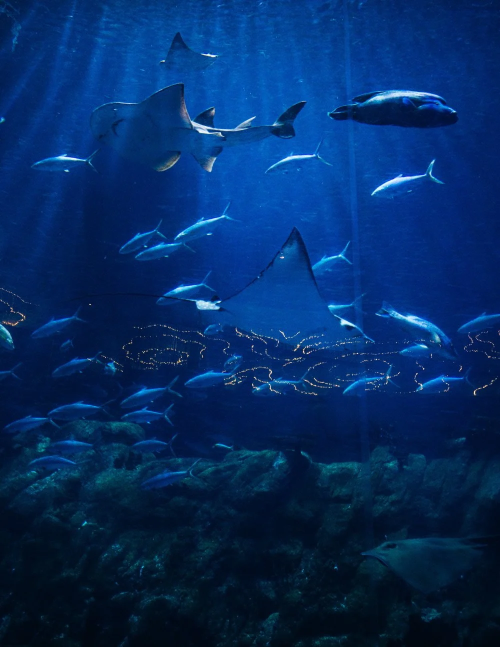 %EA%B7%B8%EB%9E%9C%EB%93%9C_%EC%95%84%EC%BF%A0%EC%95%84%EB%A6%AC%EC%9B%80_%283%29.jpg?type=w1200