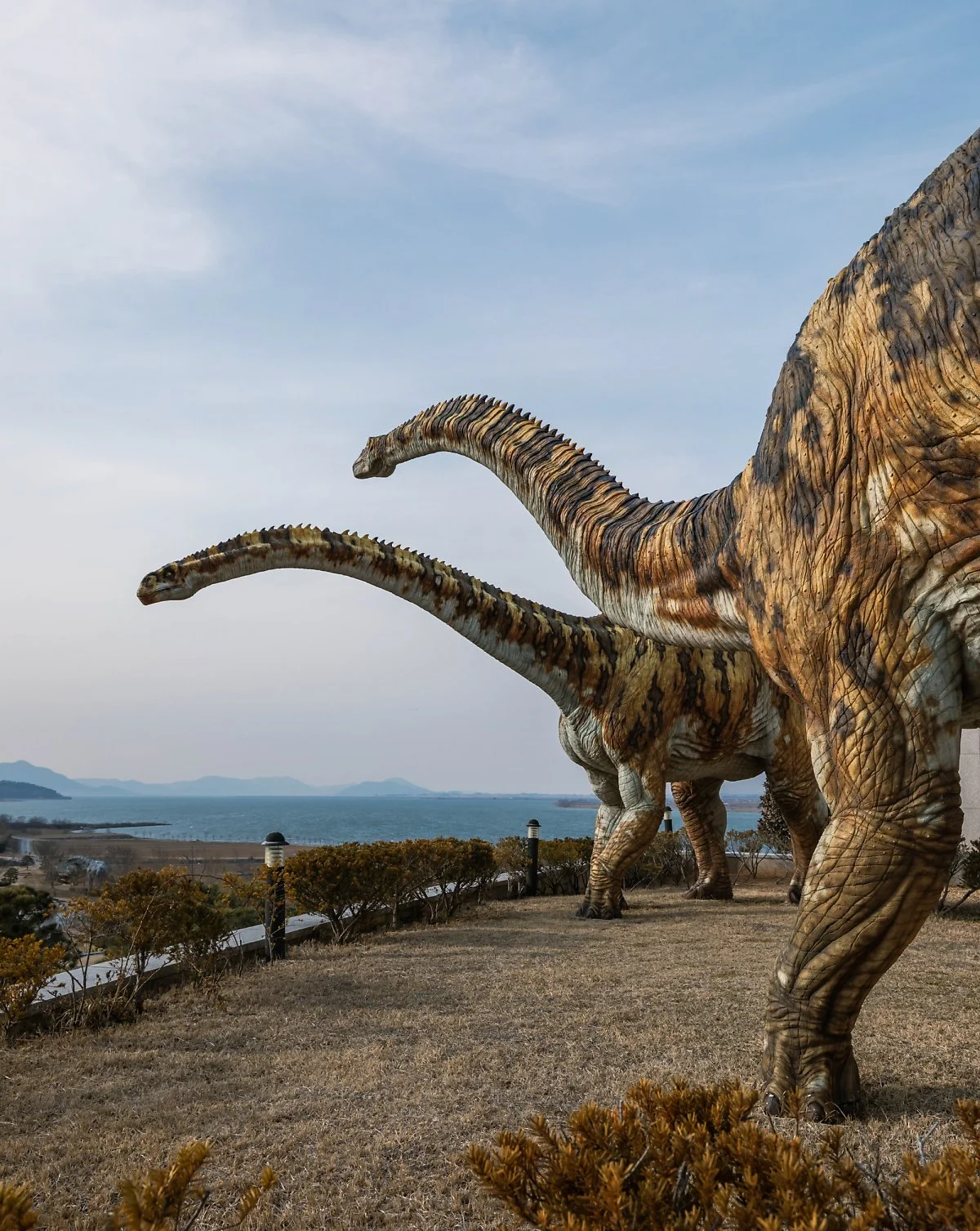 image_3805138021679380344428.jpg?type=w1200