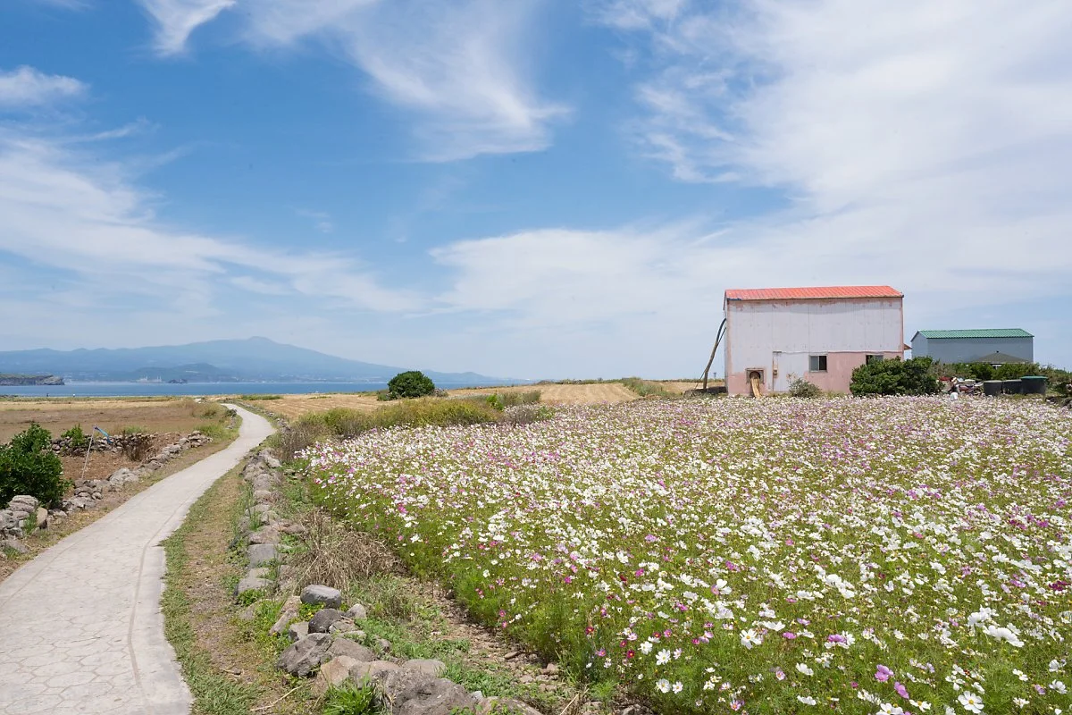 %EA%B0%80%ED%8C%8C%EB%8F%84_%2827%29.jpg?type=w1200