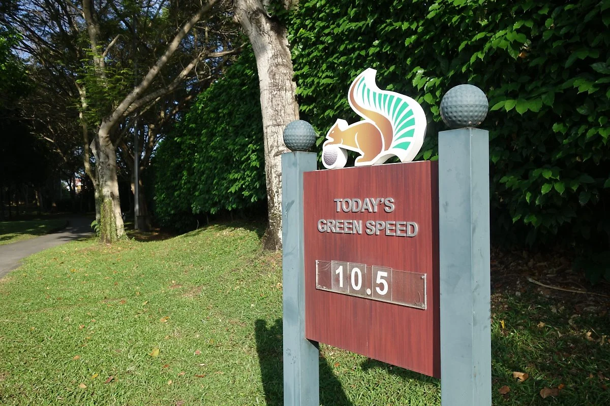 %EC%BD%94%ED%83%80%ED%8D%BC%EB%A7%88%EC%9D%B4%EA%B3%A8%ED%94%84%EC%9E%A5_%2831%29.JPG?type=w1200