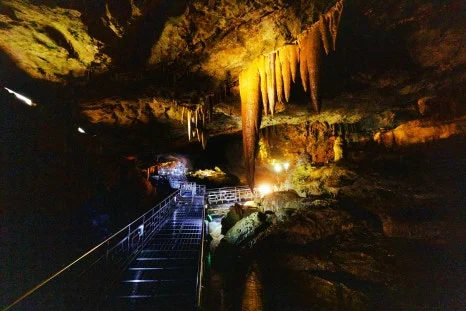 %EB%8C%80%EA%B8%88%EA%B5%B4_(1).jpg?type=w466