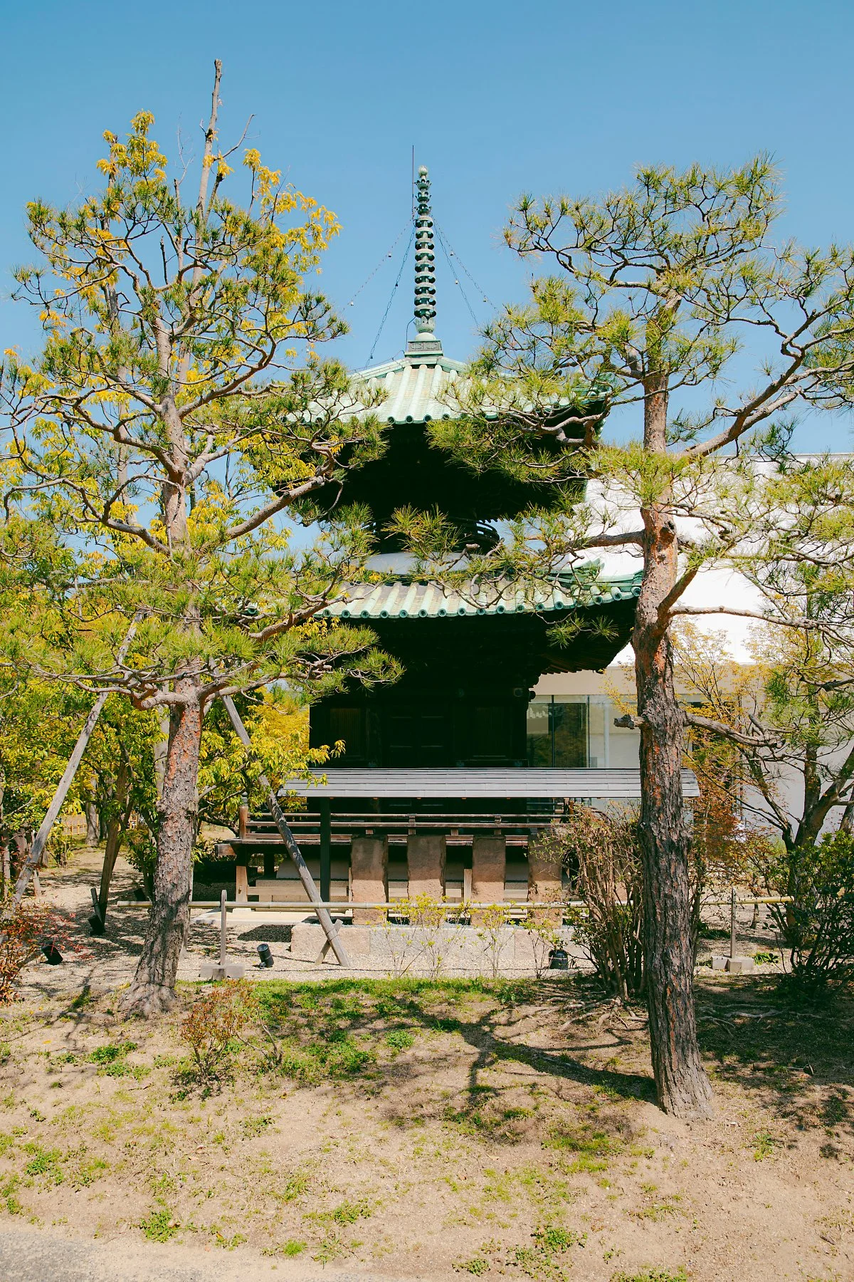 %EC%98%A4%EC%82%AC%EC%B9%B4_%ED%9B%84%EC%A7%80%ED%83%80_%EA%B3%B5%EC%9B%90_2.jpg?type=w1200