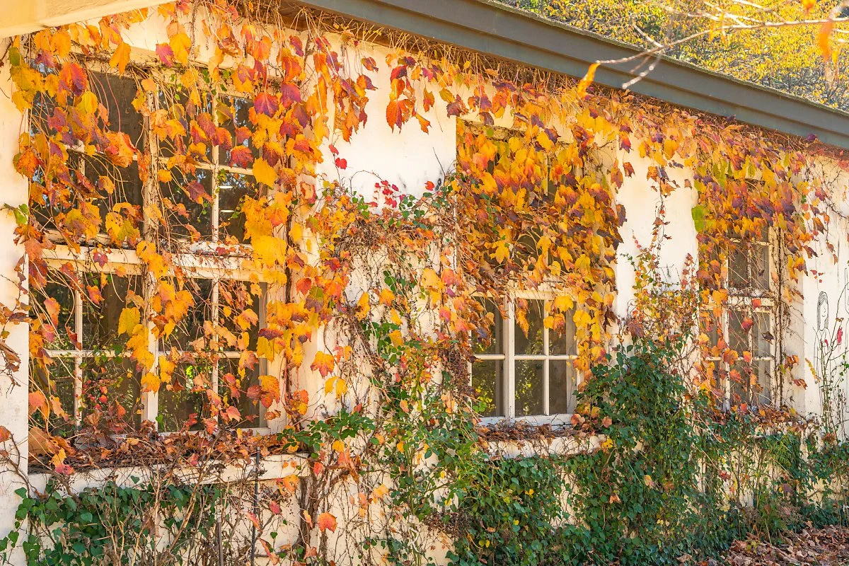 %EC%95%84%EB%AF%B8%EB%AF%B8%EC%88%A0%EA%B4%80_008.jpg?type=w1200