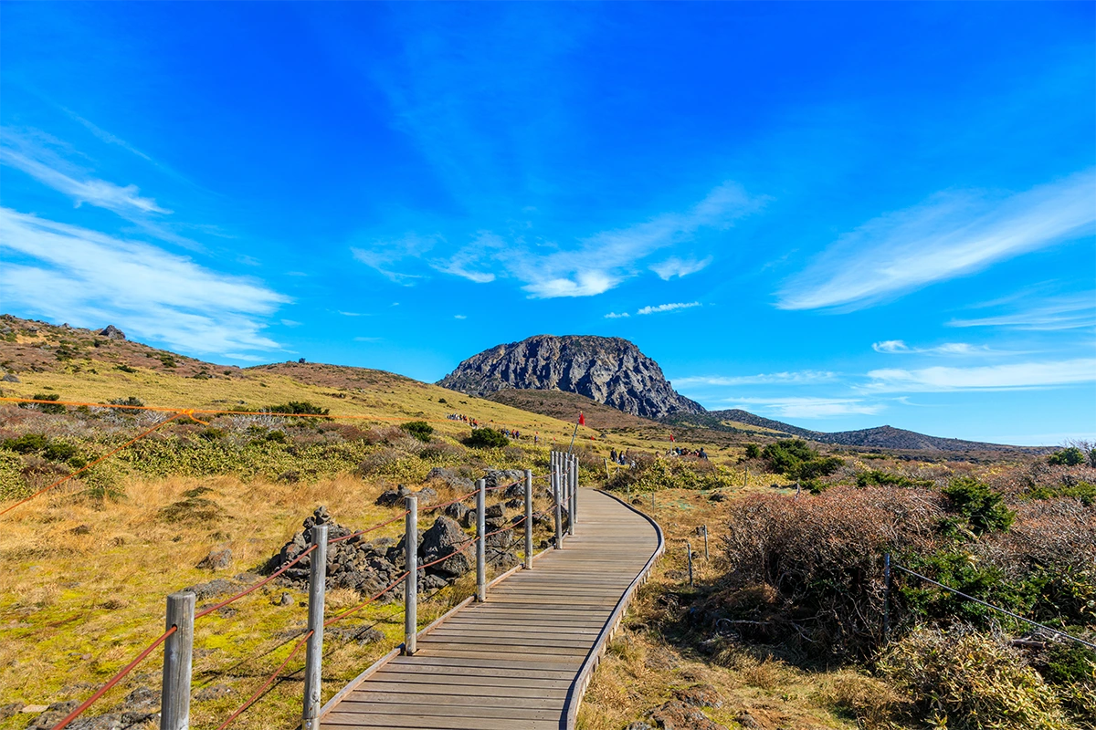 %EC%9D%B4%EB%AF%B8%EC%A7%801_%EC%A0%9C%EC%A3%BC%EA%B0%80%EC%9D%84%ED%92%8D%EA%B2%BD.png?type=w1200