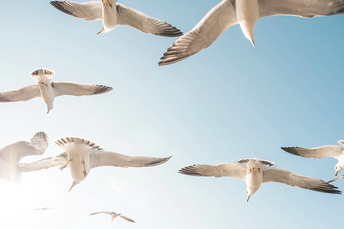 %EC%9D%B8%EC%B2%9C_%EC%9D%B4%EB%AF%B8%EC%A7%80_4.jpg?type=w1200