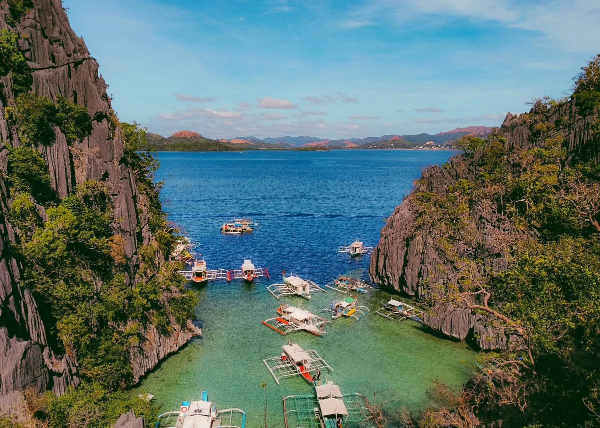 %EB%B0%94%EB%9D%BC%EC%BF%A0%EB%8B%A4_%ED%98%B8%EC%88%98.jpg?type=w1200