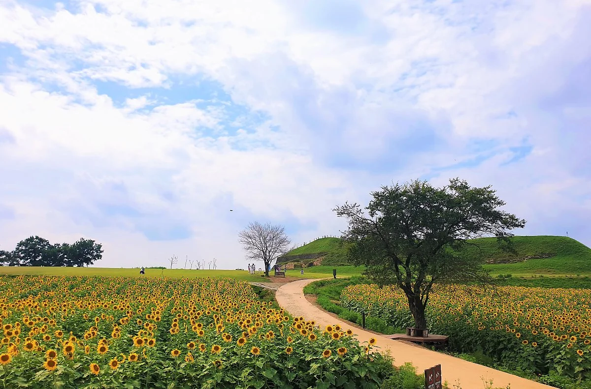 02%ED%98%B8%EB%A1%9C%EA%B3%A0%EB%A3%A8%EC%84%B1_%283%29.jpg?type=w1200