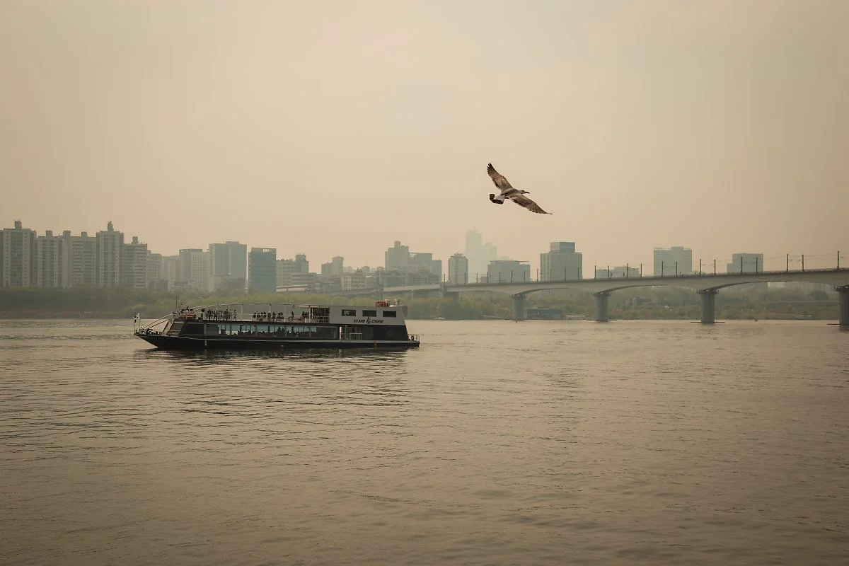 %EC%84%A0%EC%9C%A0%EB%8F%84%EA%B3%B5%EC%9B%90_%288%29.jpg?type=w1200