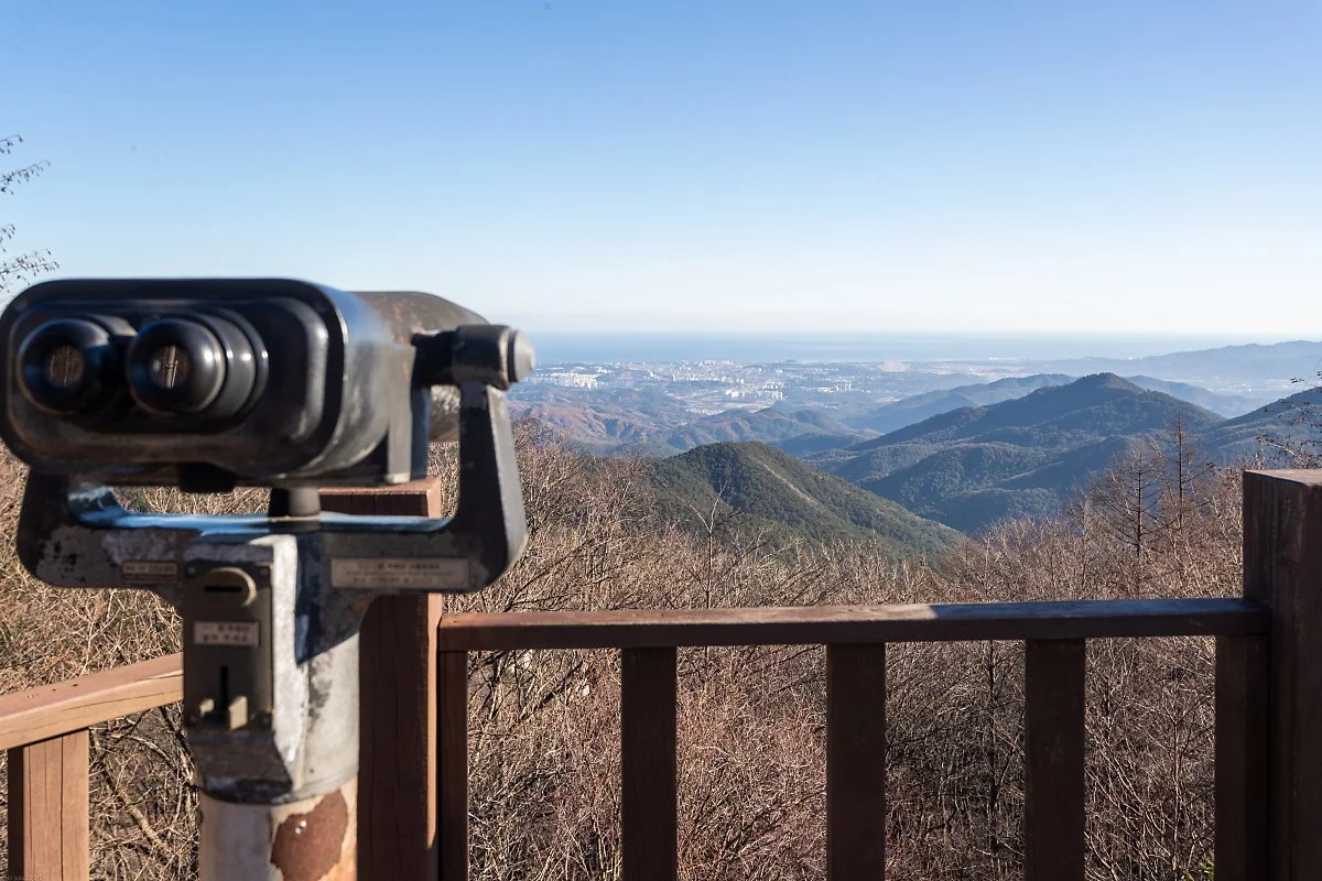 %EB%B0%98%EC%A0%95%EC%97%90%EC%84%9C_%EB%82%B4%EB%A0%A4%EB%8B%A4%EB%B3%B8_%EB%8F%99%ED%95%B4%EC%99%80_%EA%B0%95%EB%A6%89_%283%29.jpg?type=w1200