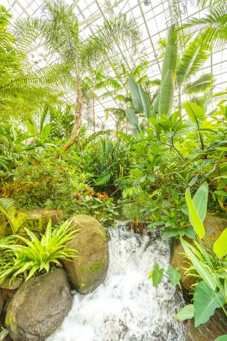 30_%EB%A7%88%EC%B9%98_%EC%A0%95%EA%B8%80%EC%9D%B4_%EC%97%B0%EC%83%81%EB%90%98%EB%8A%94_%ED%92%8D%EA%B2%BD.jpg?type=w466