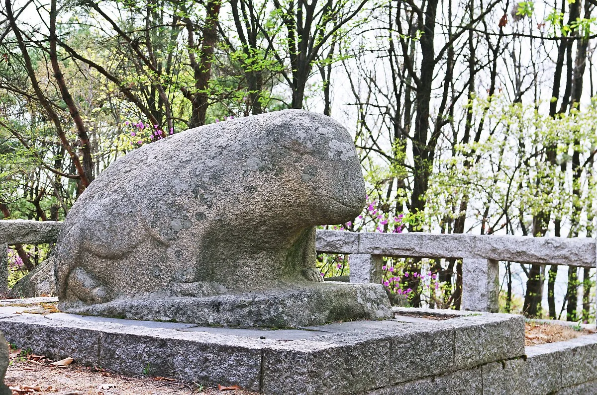 %ED%98%B8%EC%95%94%EC%82%B0._%EC%88%B2%EC%86%8D%EC%9D%98_%EC%84%9D%EA%B5%AC%EC%83%81._%EB%91%A5%EA%B7%B8%EB%9F%B0_%EB%AA%B8%EA%B3%BC_%EC%9E%85%EA%B0%80%EC%97%90_%EB%AF%B8%EC%86%8C%EA%B0%80_%EA%B7%80%EC%97%BD%EB%8B%A4..JPG?type=w1200