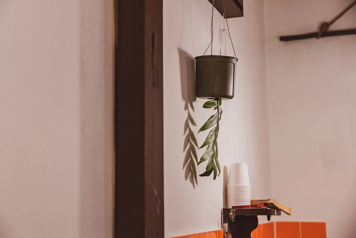 %EB%A7%88%EC%9D%B4%EB%A7%88%EC%9D%B4_03.jpg?type=w1200