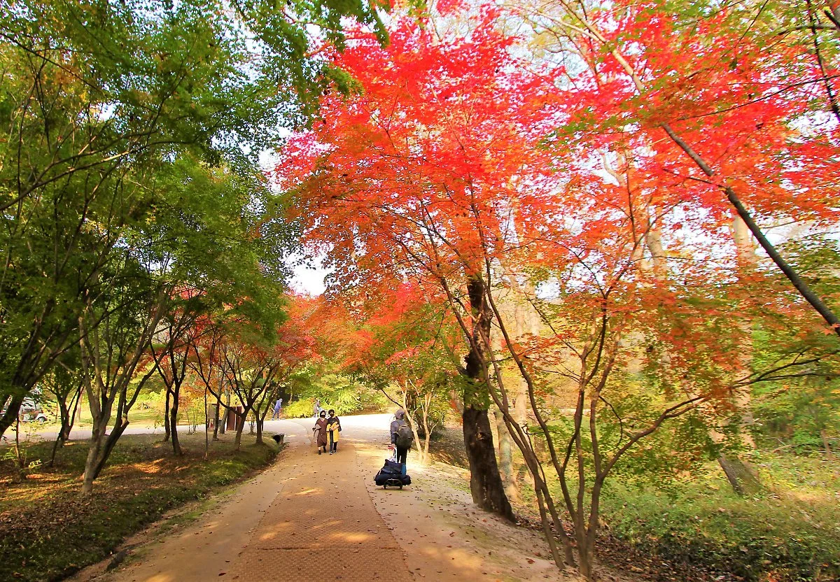 01%EA%B9%80%ED%8F%AC%EC%9E%A5%EB%A6%89_%285%29.JPG?type=w1200