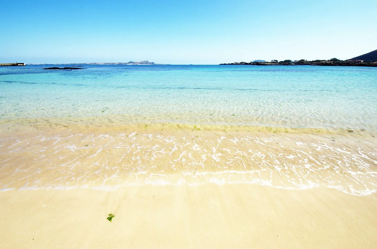 %EC%A0%9C%EC%A3%BC%EC%9D%98_%EB%B4%84%EB%B0%94%EB%8B%A4.JPG?type=w1200