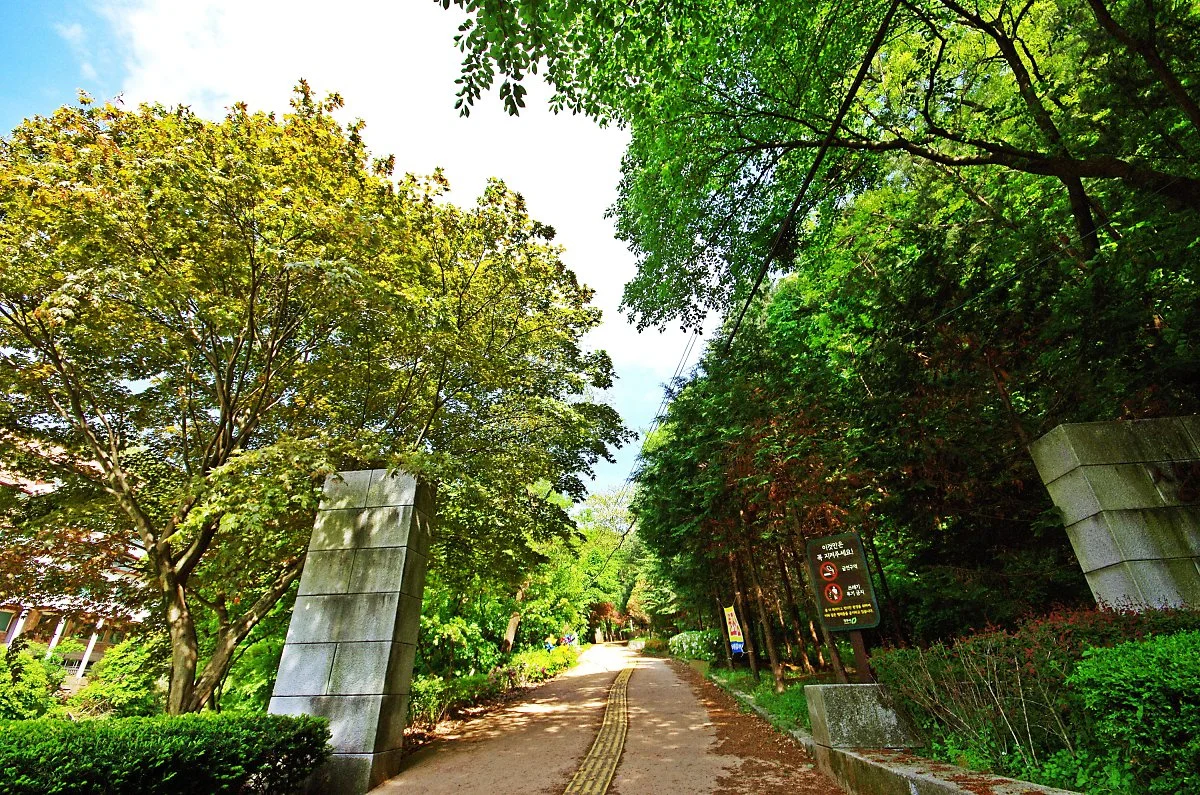 %EC%83%81%EB%8B%B9%EC%82%B0%EC%84%B1%EC%98%9B%EA%B8%B8._%EC%98%9B_%EB%AA%85%EC%95%94%EC%95%BD%EC%88%98%ED%84%B0_%EC%9E%85%EA%B5%AC.JPG?type=w1200