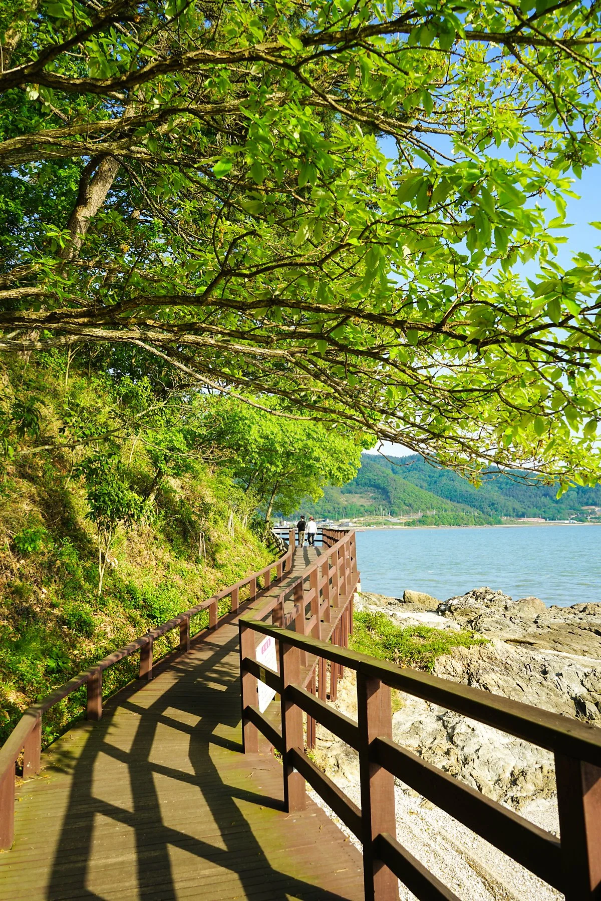 %EA%B0%80%EC%9A%B0%EB%8F%84_%2814%29.JPG?type=w1200