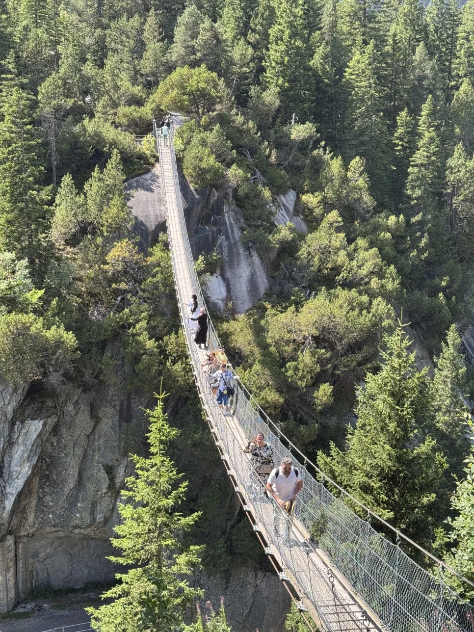 %ED%95%9C%EB%8D%B1%ED%8C%94%EB%B8%8C%EB%A4%BC%EC%BC%80_Handeckfallbr%C3%BCcke_2.jpg?type=w966