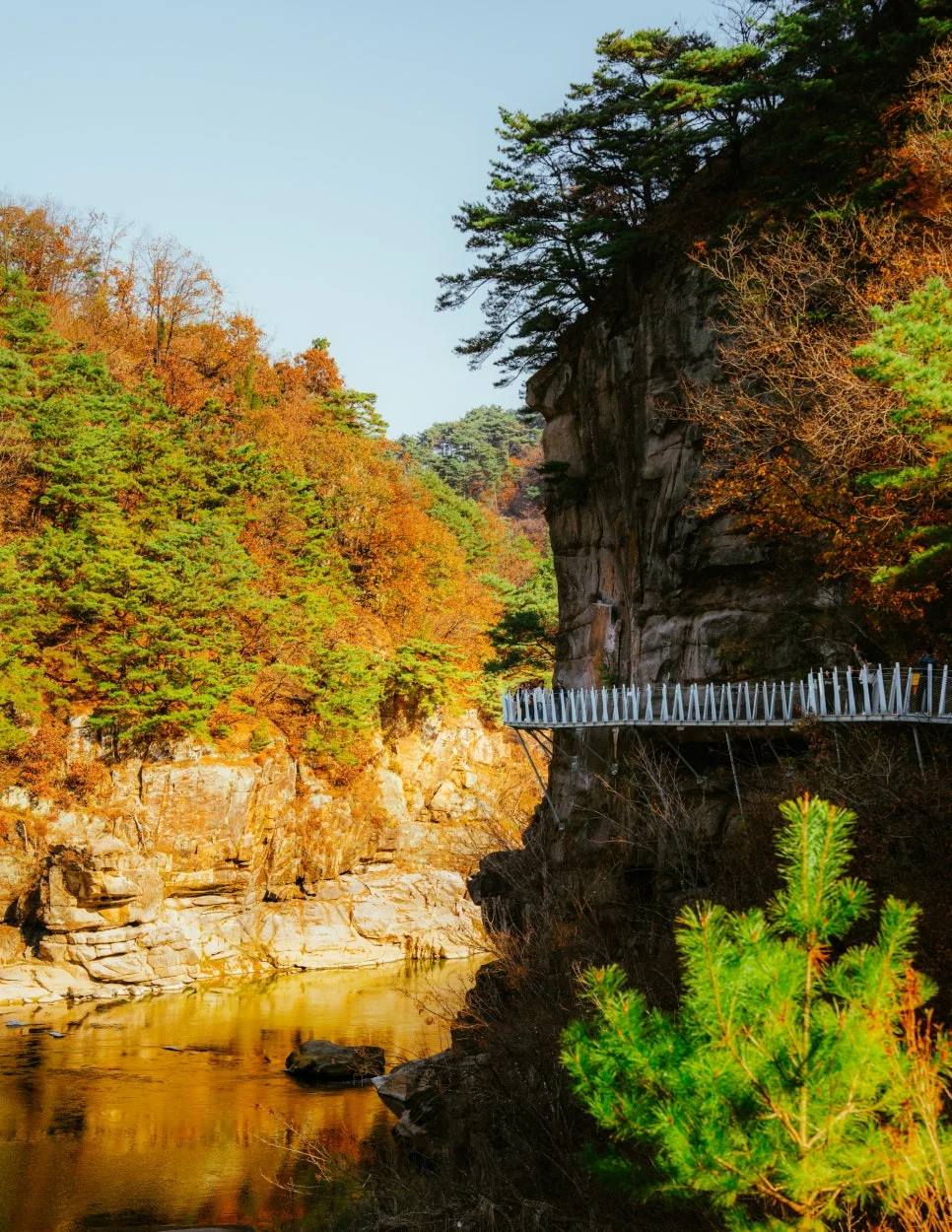 %EC%9E%94%EB%8F%84%EA%B8%B8_-7.jpg?type=w966