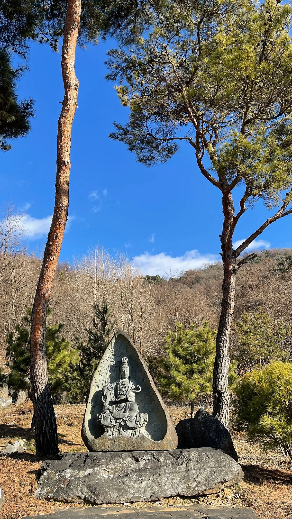 %EB%B0%98%EC%95%BC%EC%82%AC_%EC%A0%95%EC%9D%80%EC%A3%BC_%281%29.jpg?type=w1200