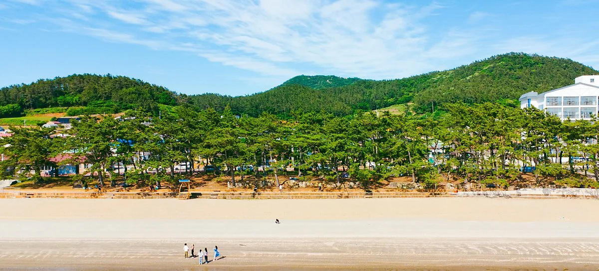 %EC%86%A1%ED%98%B8%ED%95%B4%EC%88%98%EC%9A%95%EC%9E%A5%283%29.jpg?type=w1200