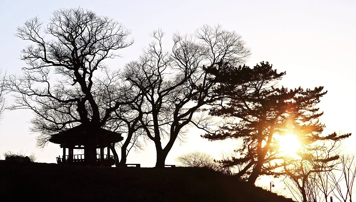 %EA%B3%B0%EA%B0%9C%EB%82%98%EB%A3%A8_%EA%B1%B0%EB%8C%80%ED%95%9C_%EB%82%98%EB%AC%B4%EC%99%80_%EC%A0%95%EC%9E%90%EA%B0%80_%EC%9E%88%EB%8A%94_%ED%92%8D%EA%B2%BD.JPG?type=w1200