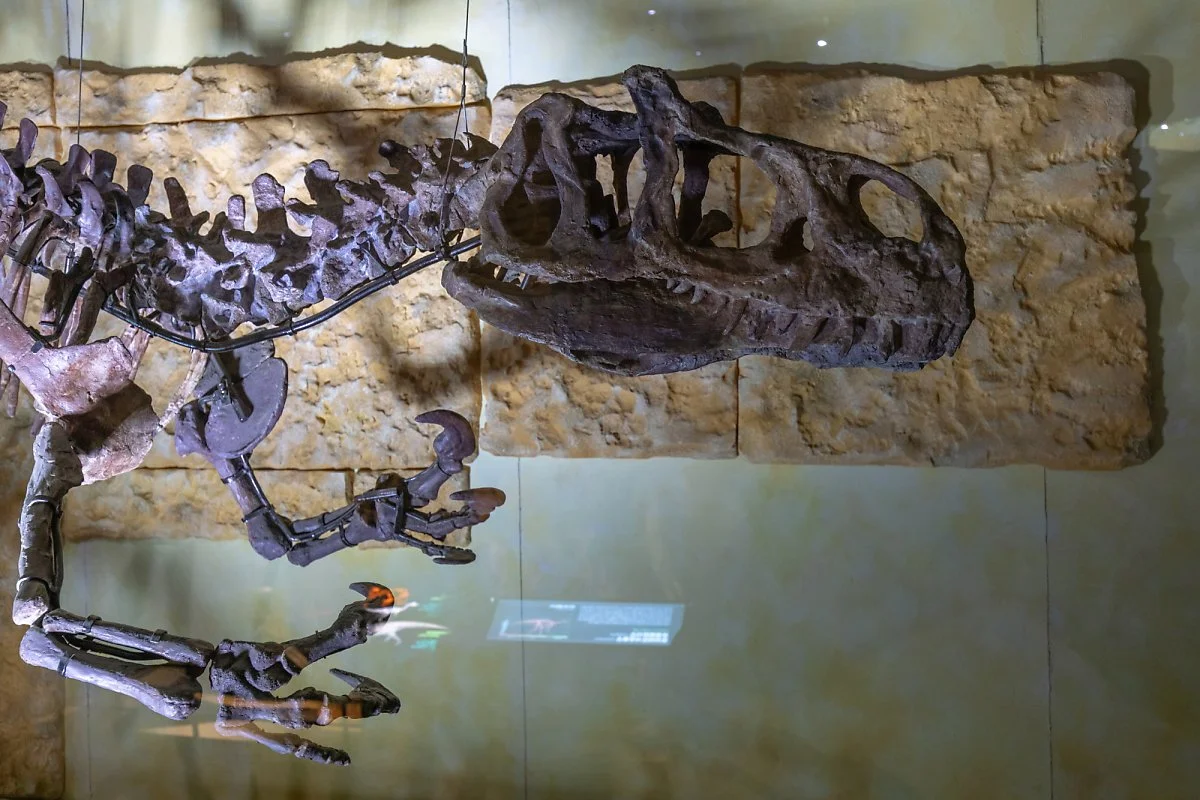 IMG_7084.jpg?type=w1200