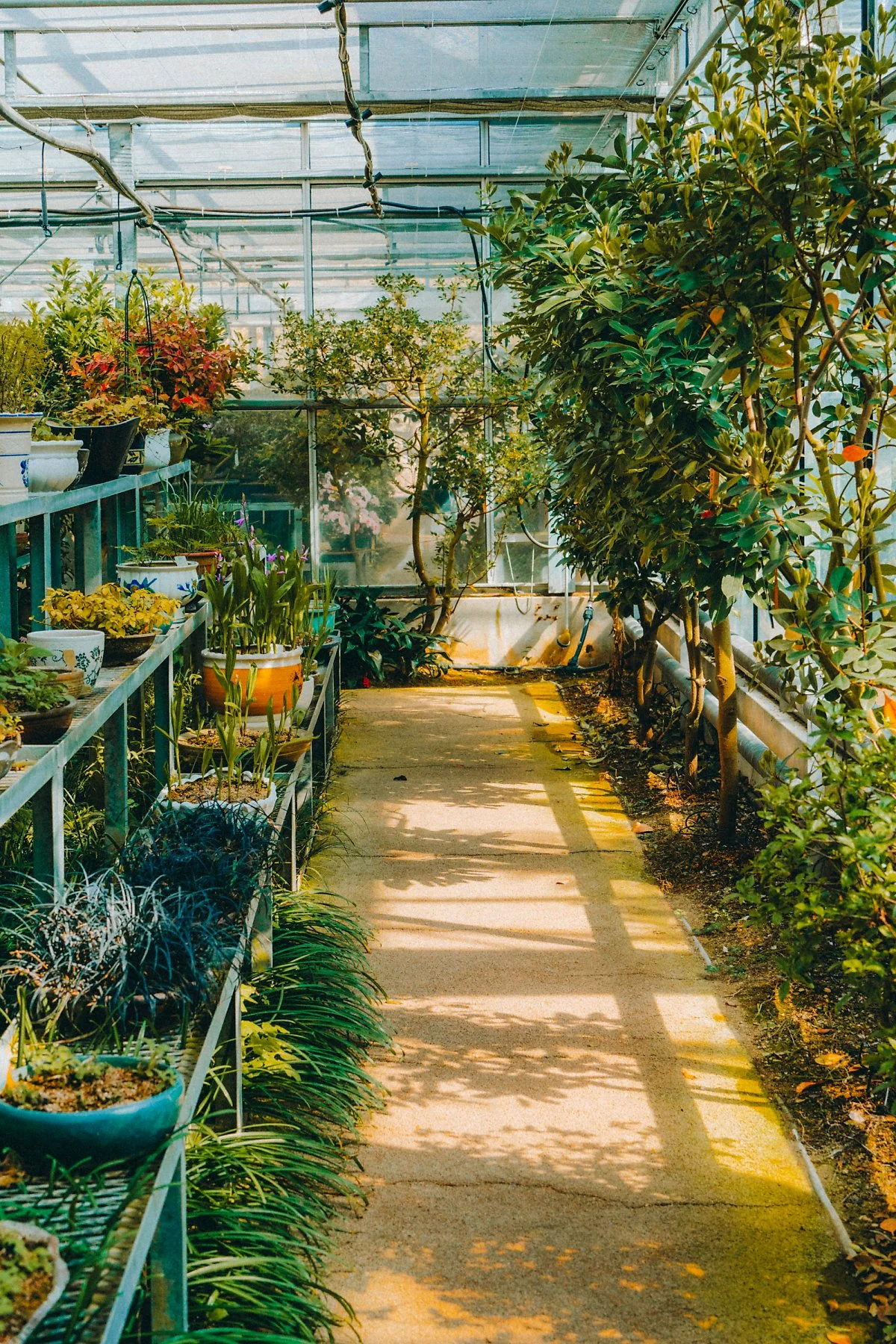 %EB%8C%80%EC%95%84%EC%88%98%EB%AA%A9%EC%9B%90_%2812%29.jpg?type=w1200