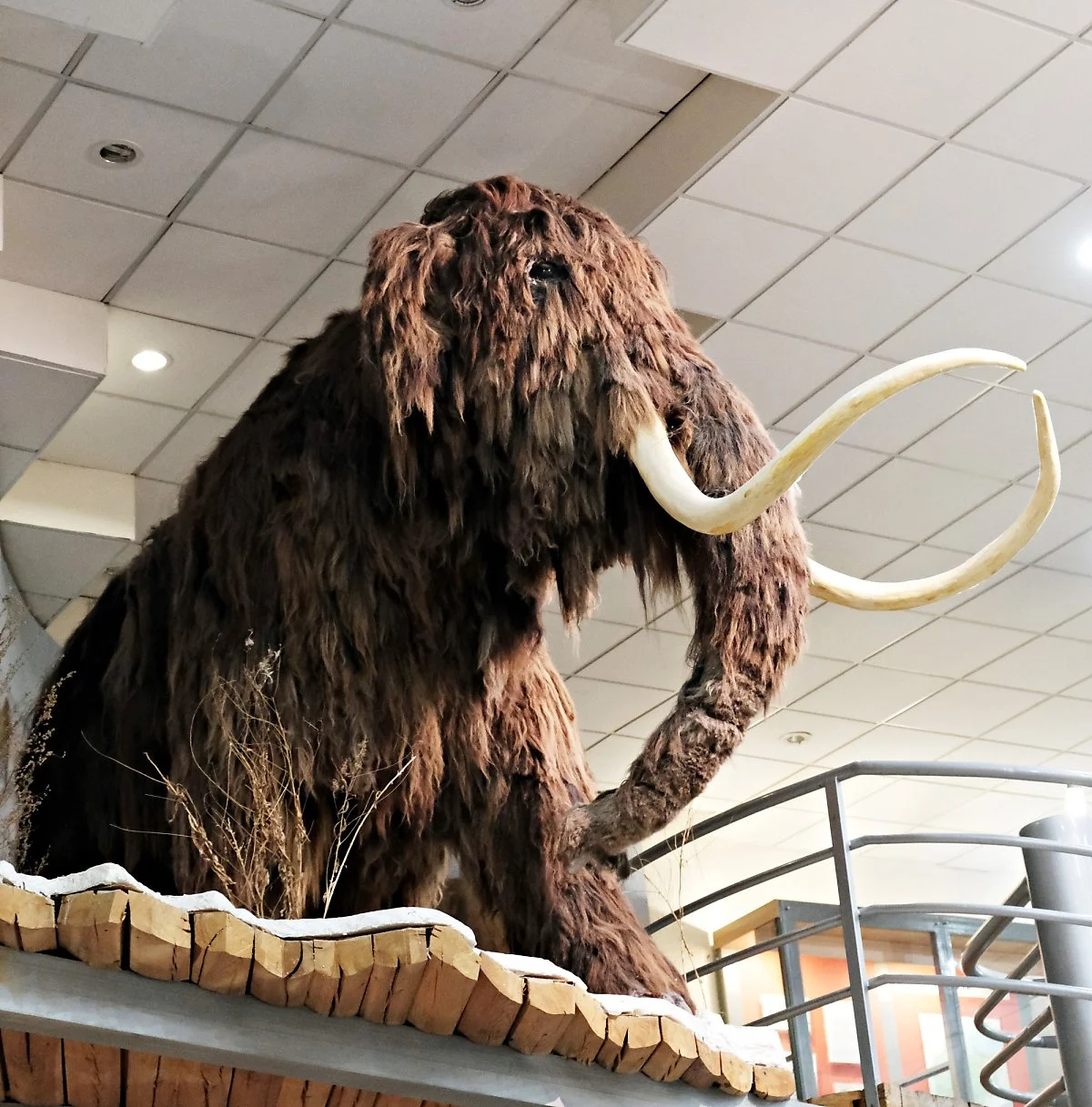 image_427553131581318144507.jpg?type=w1200