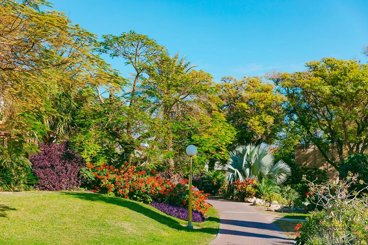 %EC%9D%B4%EC%8A%A4%EB%9D%BC%EC%97%98_Ein_Gedi_Botanical_Garden_4.jpg?type=w1200