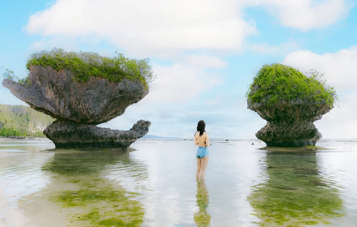 %EB%B2%84%EC%84%AF%EB%B0%94%EC%9C%84%282%29.jpg?type=w1200