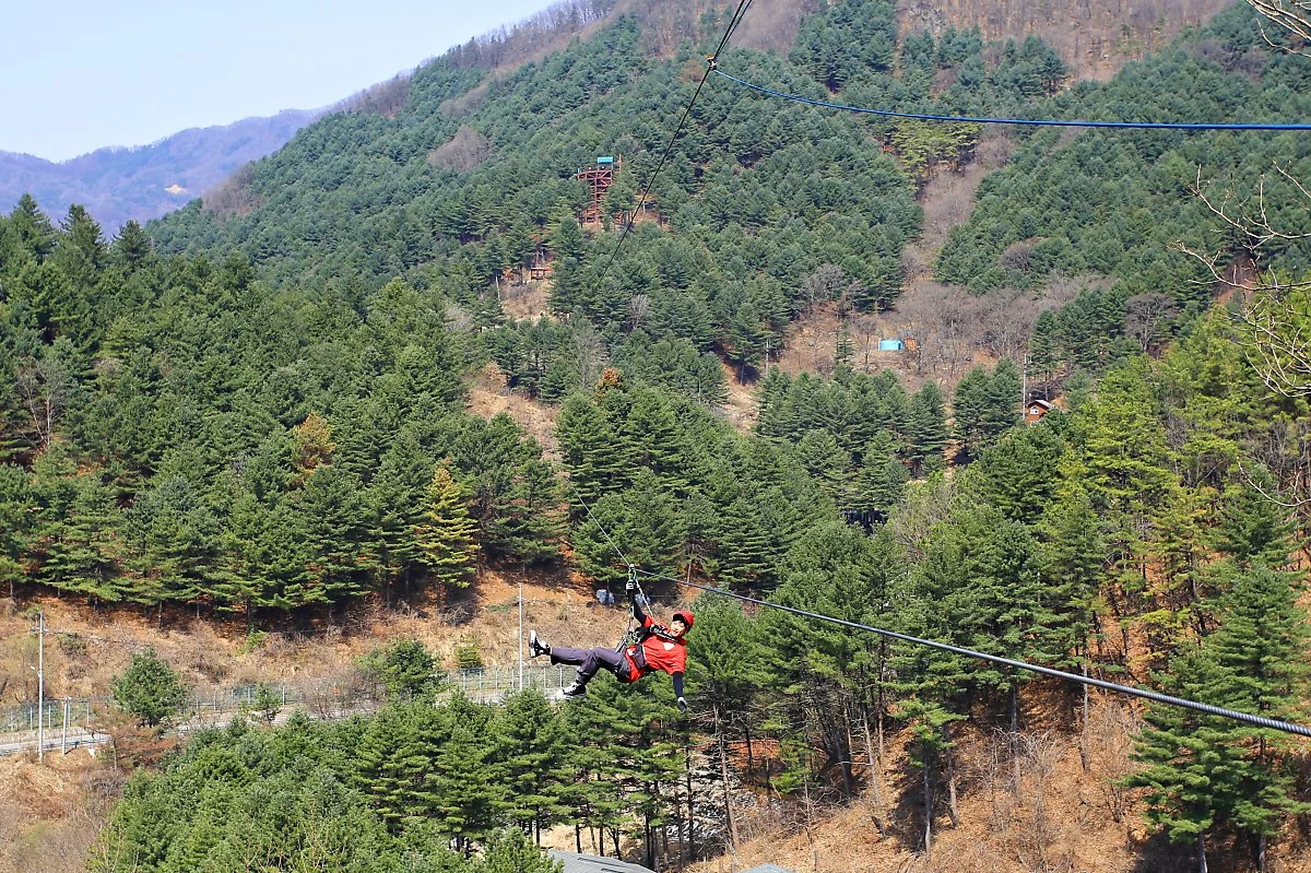 %EA%B2%BD%EA%B8%B0%EA%B0%80%ED%8F%89%EB%B8%8C%EB%A6%BF%EC%A7%80%EC%A7%9A%EB%9D%BC%EC%9D%B8_%ED%9B%84%EB%B0%98%EB%B6%80%EB%8A%94_%EA%B8%B4_%EC%BD%94%EC%8A%A4%EB%A1%9C_%EC%9D%B4%EB%A4%84%EC%A7%84%EB%8B%A4_%EA%B9%80%EC%88%98%EC%A7%84_%EC%9E%91%EA%B0%80.JPG?type=w1200