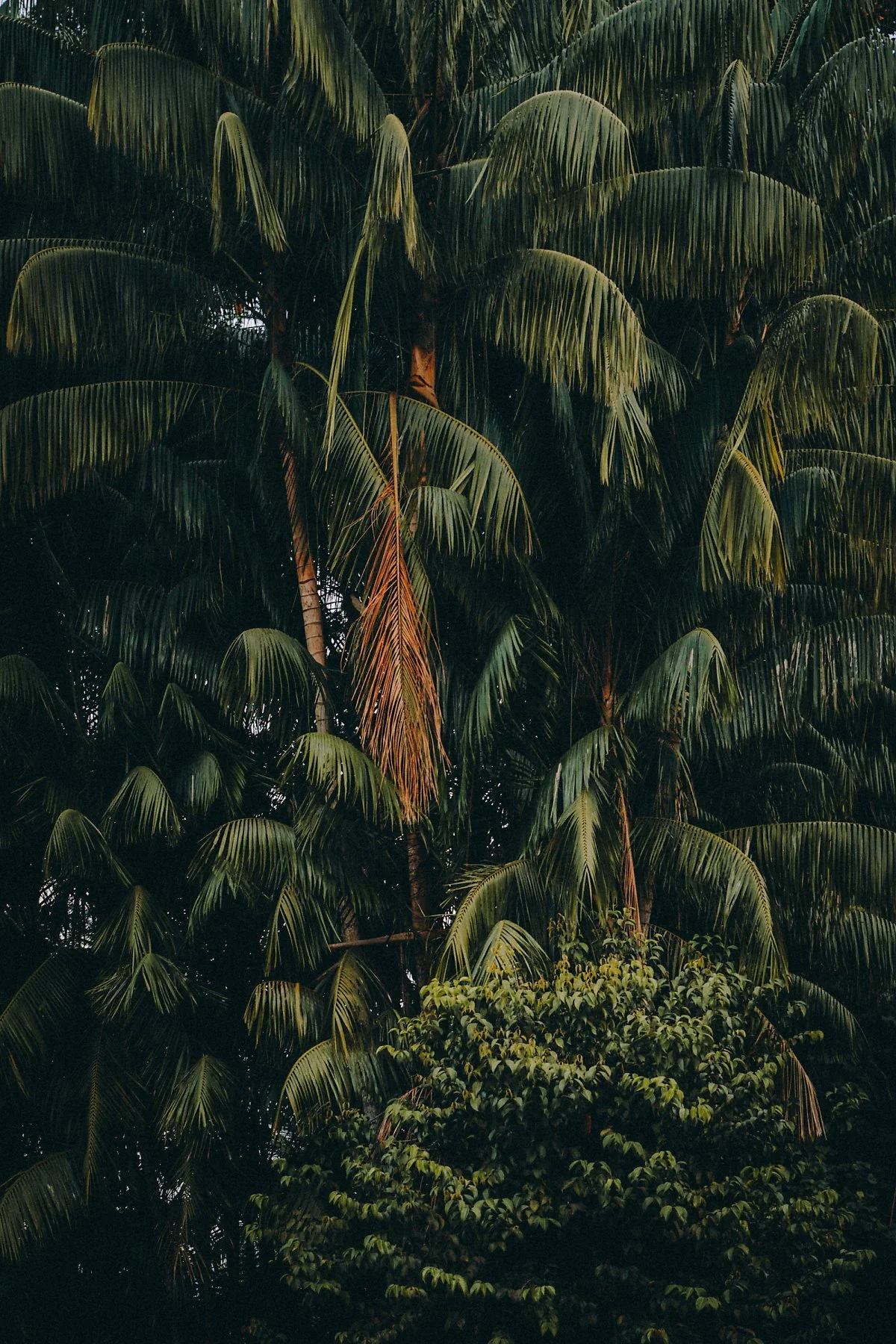 %EC%88%AD%EA%B2%8C%EC%9D%B4_%EB%B6%80%EB%A1%9C_%EC%8A%B5%EC%A7%80_%EB%B3%B4%EC%A1%B4%EC%A7%80_%281%29.jpg?type=w1200