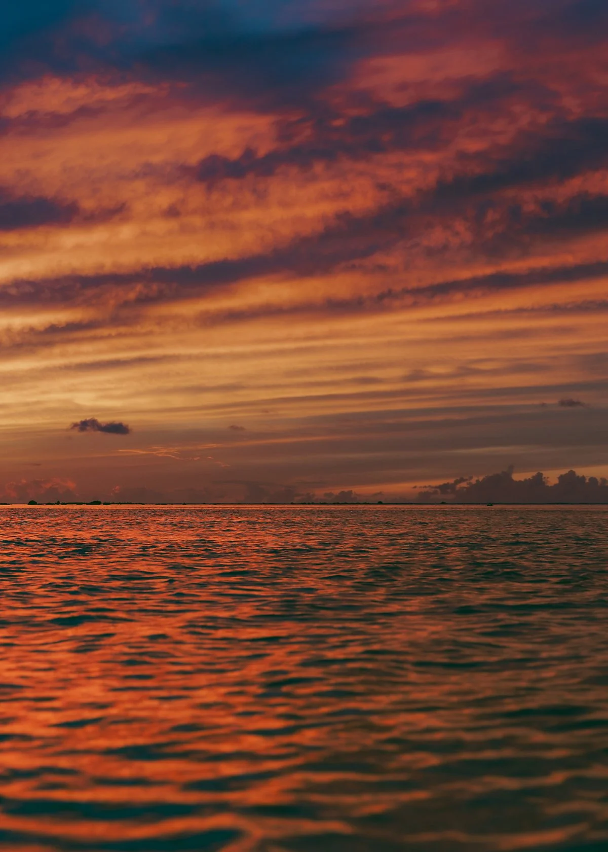 %EC%9D%B4%ED%8C%8C%EC%98%A4%ED%95%B4%EB%B3%80.jpg?type=w1200