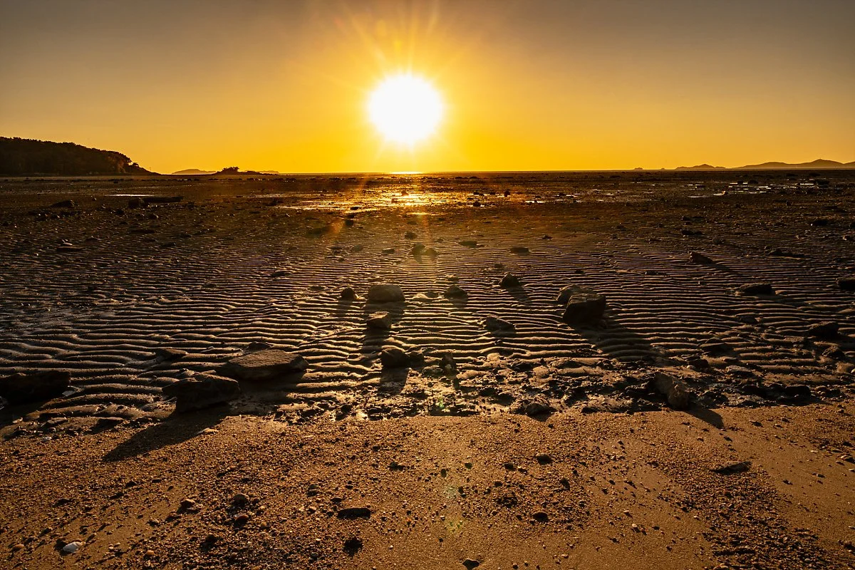 %EC%9E%A5%ED%99%94%EB%A6%AC_%EB%82%99%EC%A1%B0%EC%A1%B0%EB%A7%9D%EB%8C%802.jpg?type=w1200