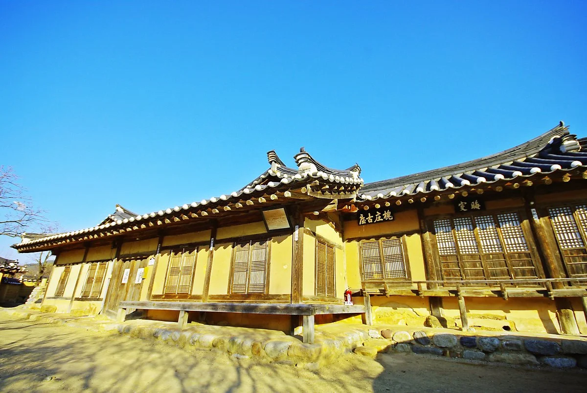 %EC%98%81%EC%96%91_%EB%82%A8%EC%94%A8_%EA%B4%B4%EC%8B%9C%ED%8C%8C_%EC%A2%85%ED%83%9D.JPG?type=w1200