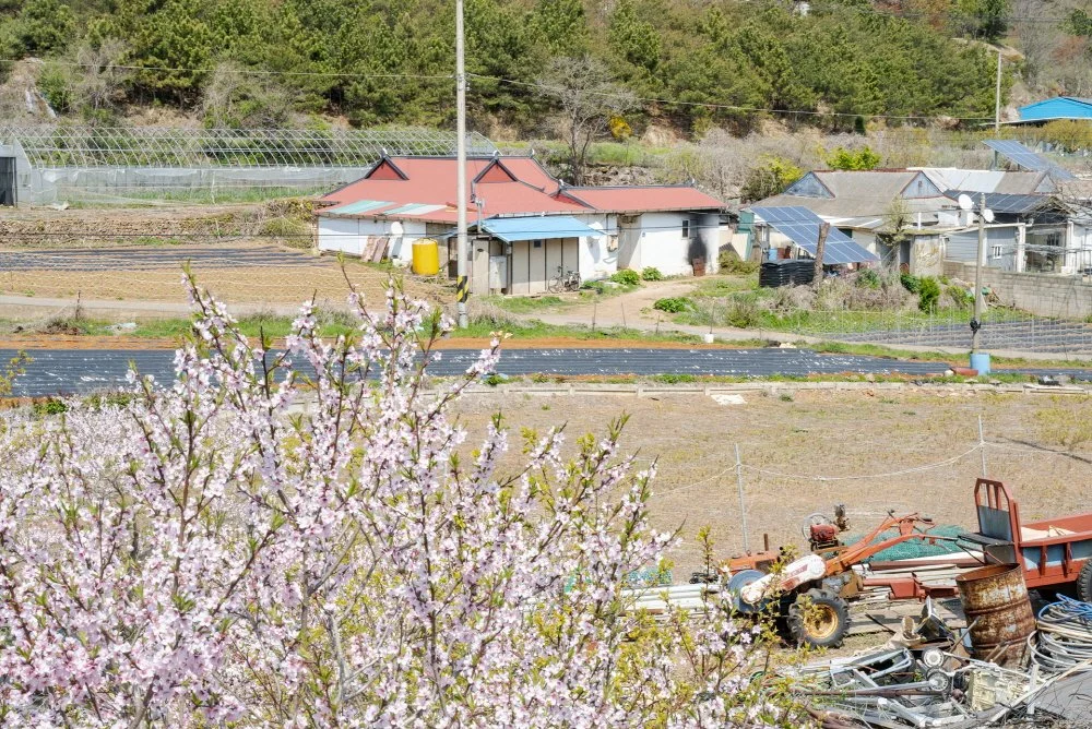 %EC%9E%A5%EB%B4%89_4%EB%A6%AC.jpg?type=w1200