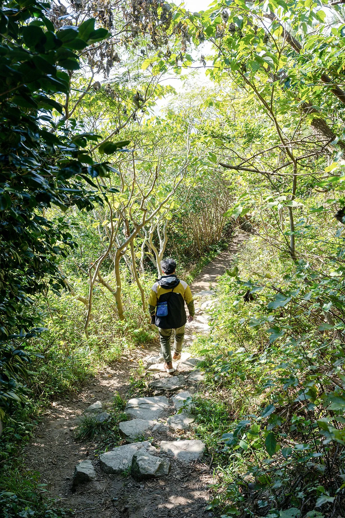 %EC%86%8C%EB%A7%A4%EB%AC%BC%EB%8F%84_%ED%83%90%EB%B0%A9%EB%A1%9C_%282%29.jpg?type=w1200