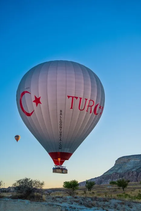 %EB%B2%8C%EB%A3%AC_%EC%84%A0%EB%9D%BC%EC%9D%B4%EC%A6%88_(9).jpg?type=w466