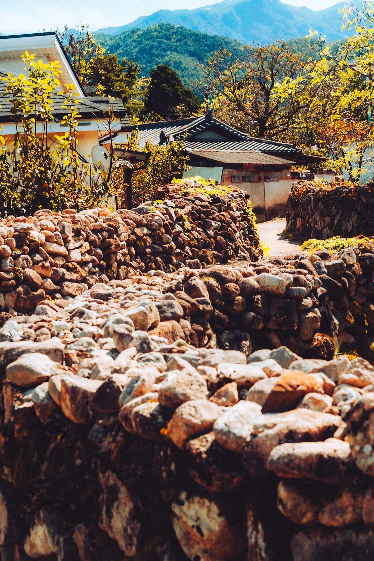 %ED%95%9C%EB%B0%A4%EB%A7%88%EC%9D%84_%EB%8F%8C%EB%8B%B4%EA%B8%B8_%285%29.jpg?type=w1200