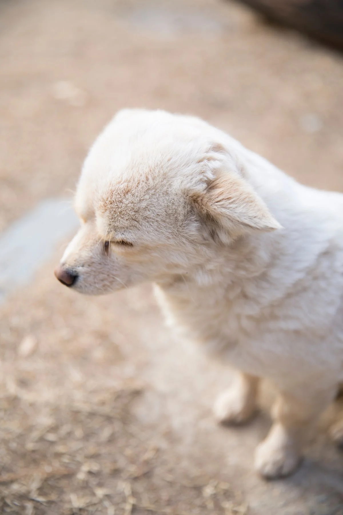 _86A7147.jpg?type=w1200