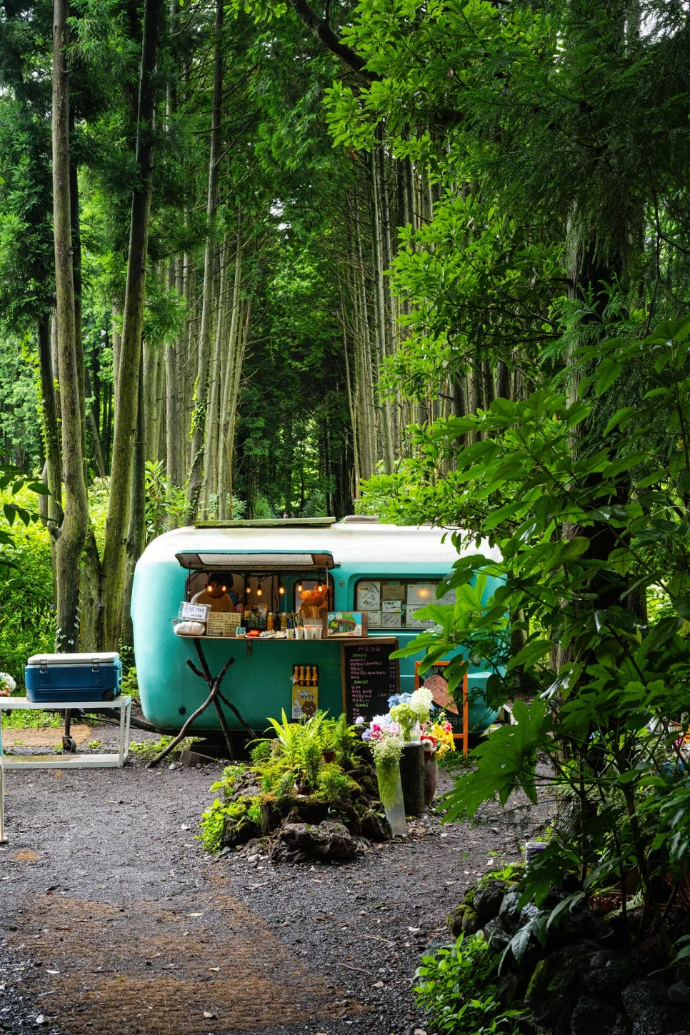 22_%EB%B9%84%EB%B0%80%EC%9D%98_%EC%88%B2_%ED%95%98%EC%9D%B4%EB%9D%BC%EC%9D%B4%ED%8A%B8,_%EB%AF%BC%ED%8A%B8%EC%83%89_%ED%8A%B8%EB%A0%88%EC%9D%BC%EB%9F%AC.jpg?type=w966